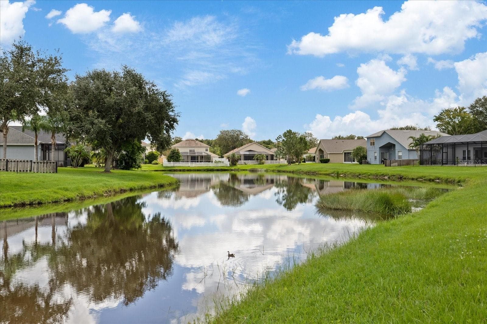Single Family Residence at 10704 BANFIELD DR, RIVERVIEW, photo 56 of 59