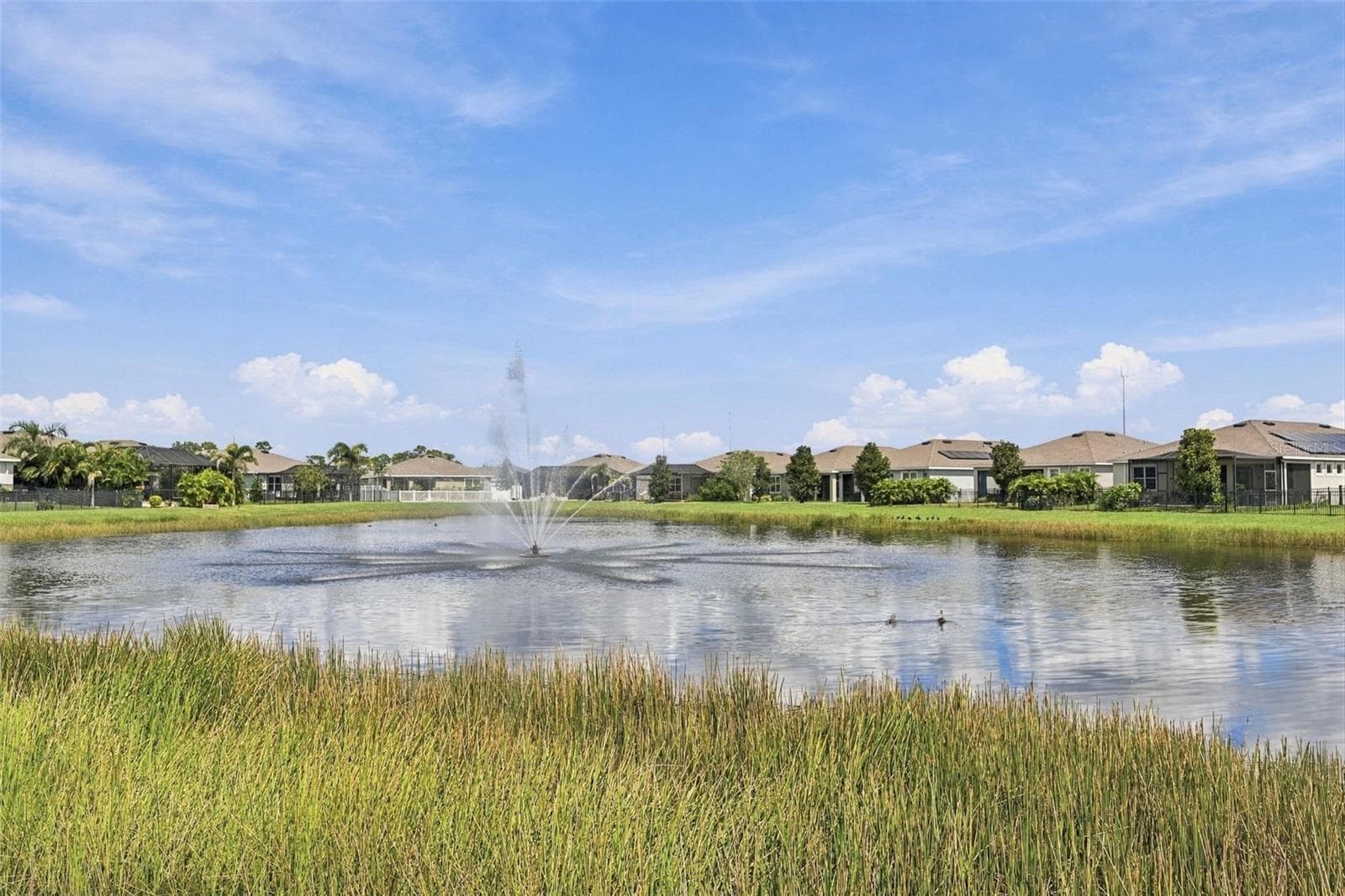 Single Family Residence at 13344 WATERLEAF GARDEN CIR, RIVERVIEW, photo 5 of 96