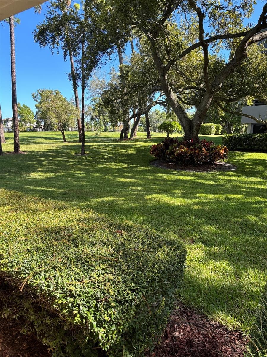 Condominium at 36750 US HIGHWAY 19 #25-104, PALM HARBOR, photo 4 of 4