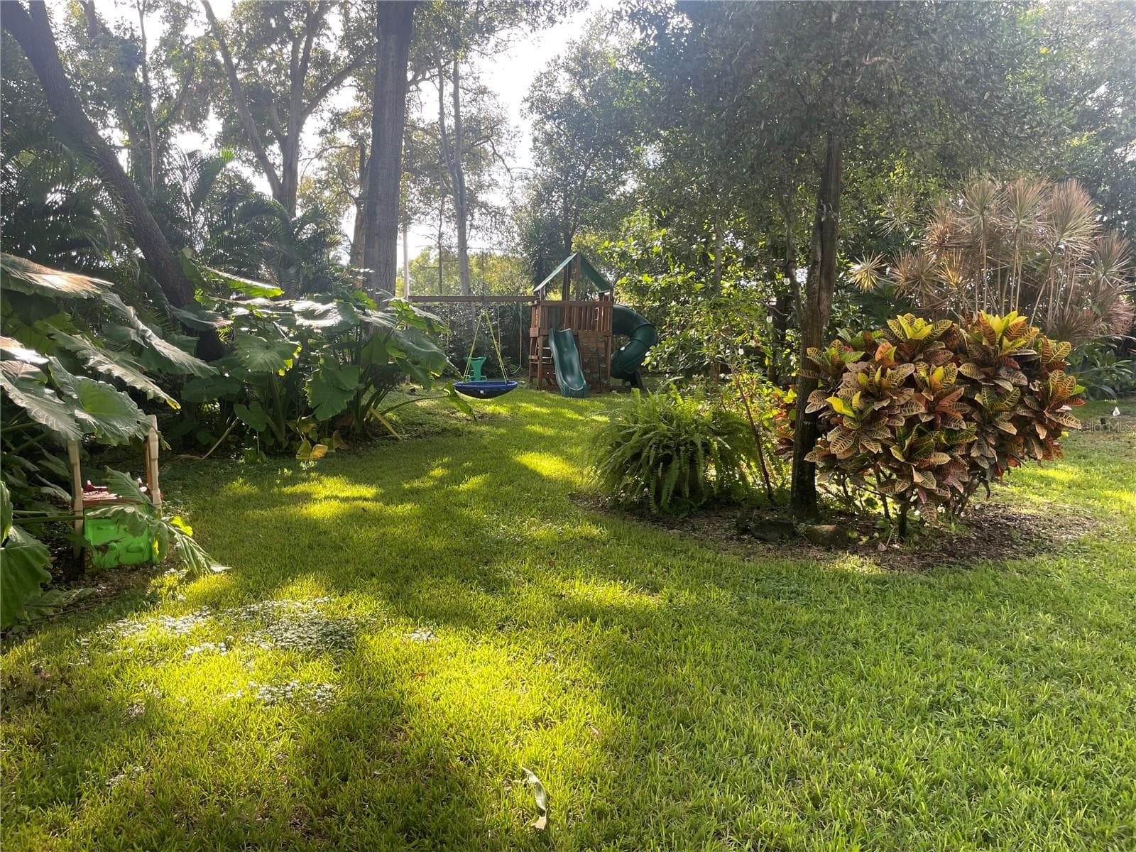 Single Family Residence at 1304 TREETOP DR, PALM HARBOR, photo 17 of 55