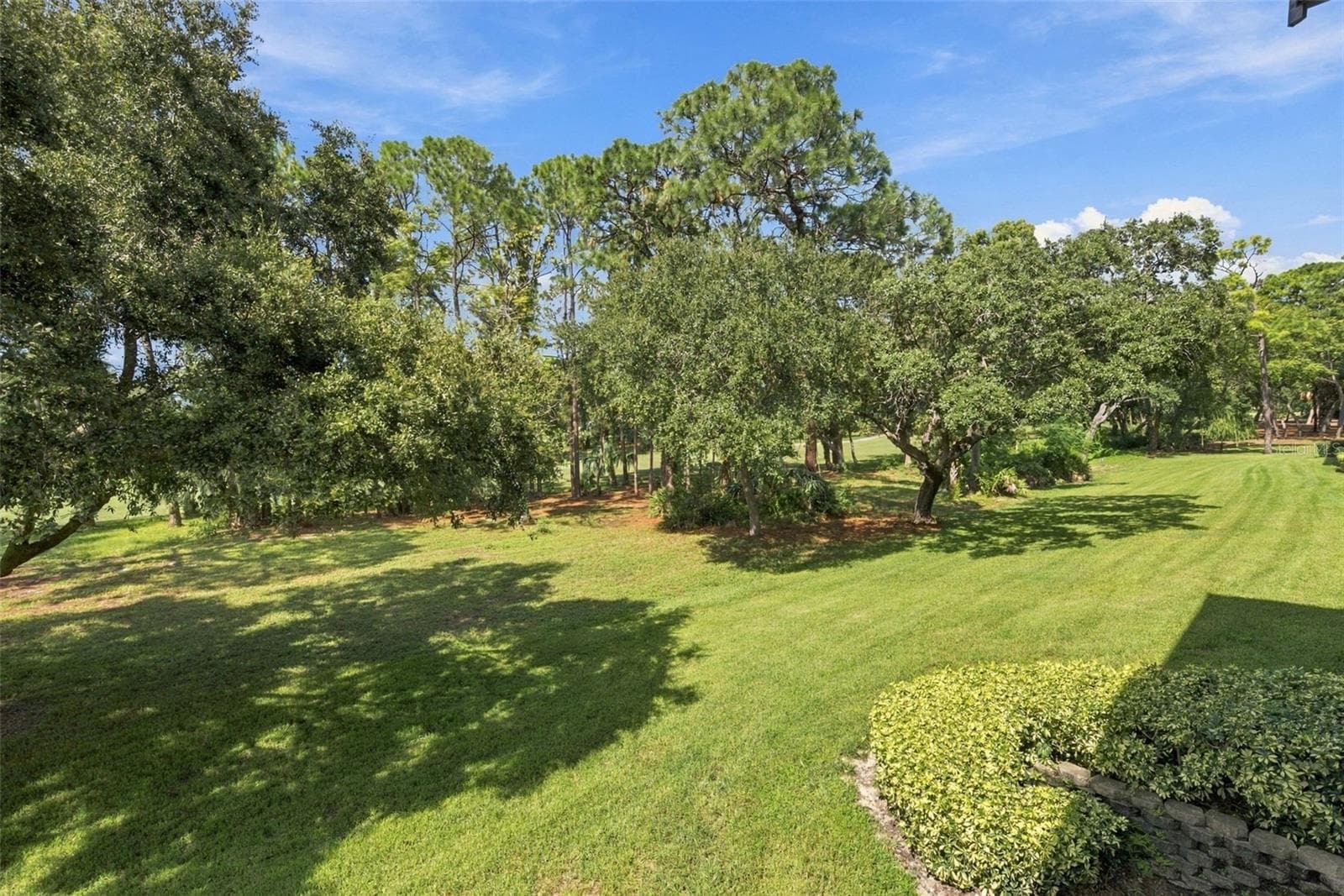 Condominium at 36750 US HIGHWAY 19 N #3131, PALM HARBOR, photo 32 of 73