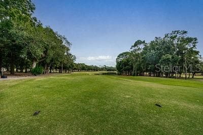 Condominium at 36750 US HIGHWAY 19 N #3131, PALM HARBOR, photo 48 of 73