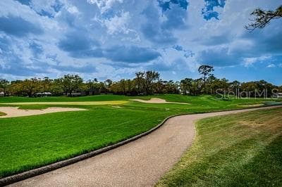 Condominium at 36750 US HIGHWAY 19 N #3131, PALM HARBOR, photo 59 of 73