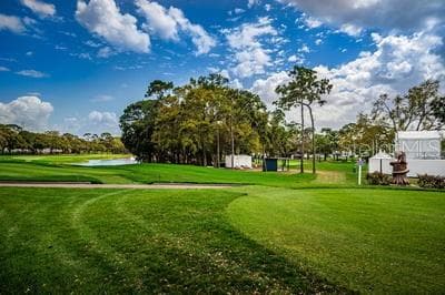 Condominium at 36750 US HIGHWAY 19 N #3131, PALM HARBOR, photo 67 of 73