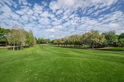 Condominium at 36750 US HIGHWAY 19 N #3131, PALM HARBOR, photo 72 of 73