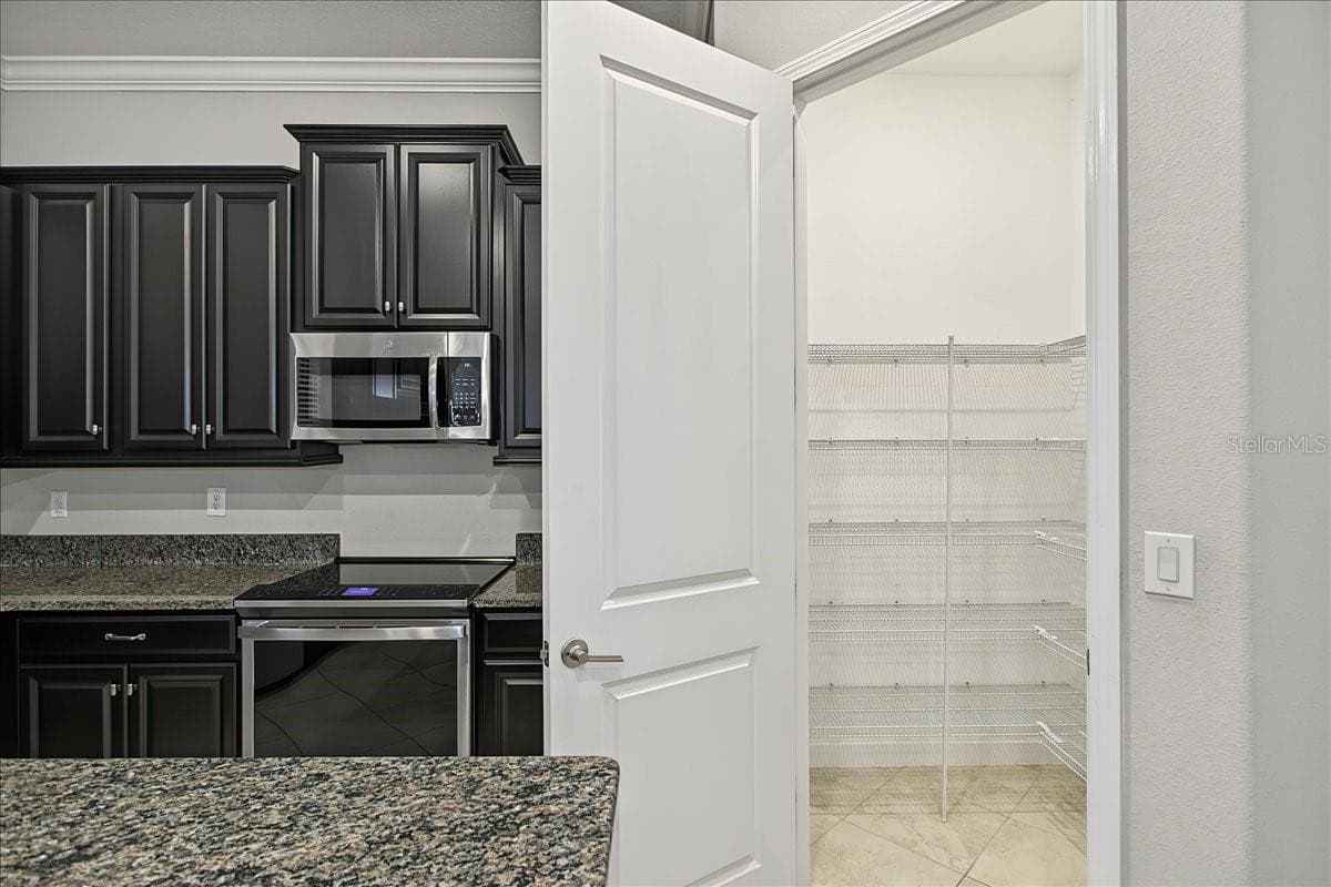 Single Family Residence at 8099 LAGO MIST WAY, WESLEY CHAPEL, photo 39 of 128