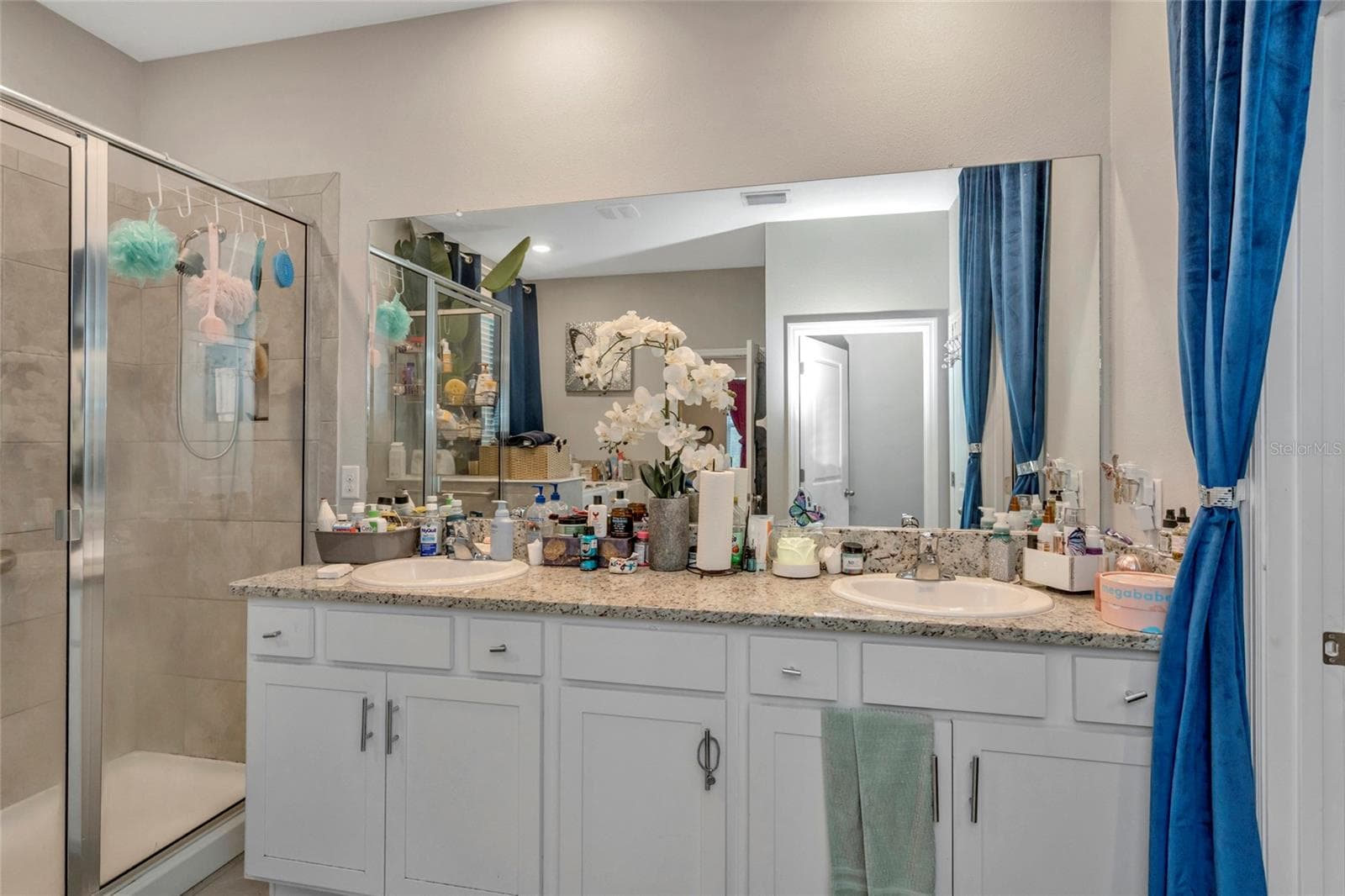 primary bathroom - 11939 BRIGHTON KNOLL LOOP, RIVERVIEW