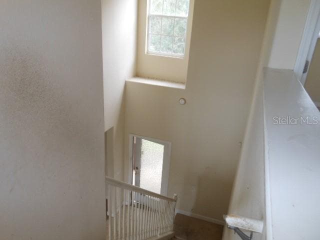 Single Family Residence at 10524 SHADY PRESERVE DR, RIVERVIEW, photo 18 of 27
