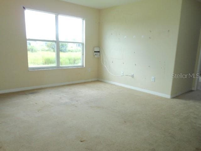Single Family Residence at 10524 SHADY PRESERVE DR, RIVERVIEW, photo 21 of 27