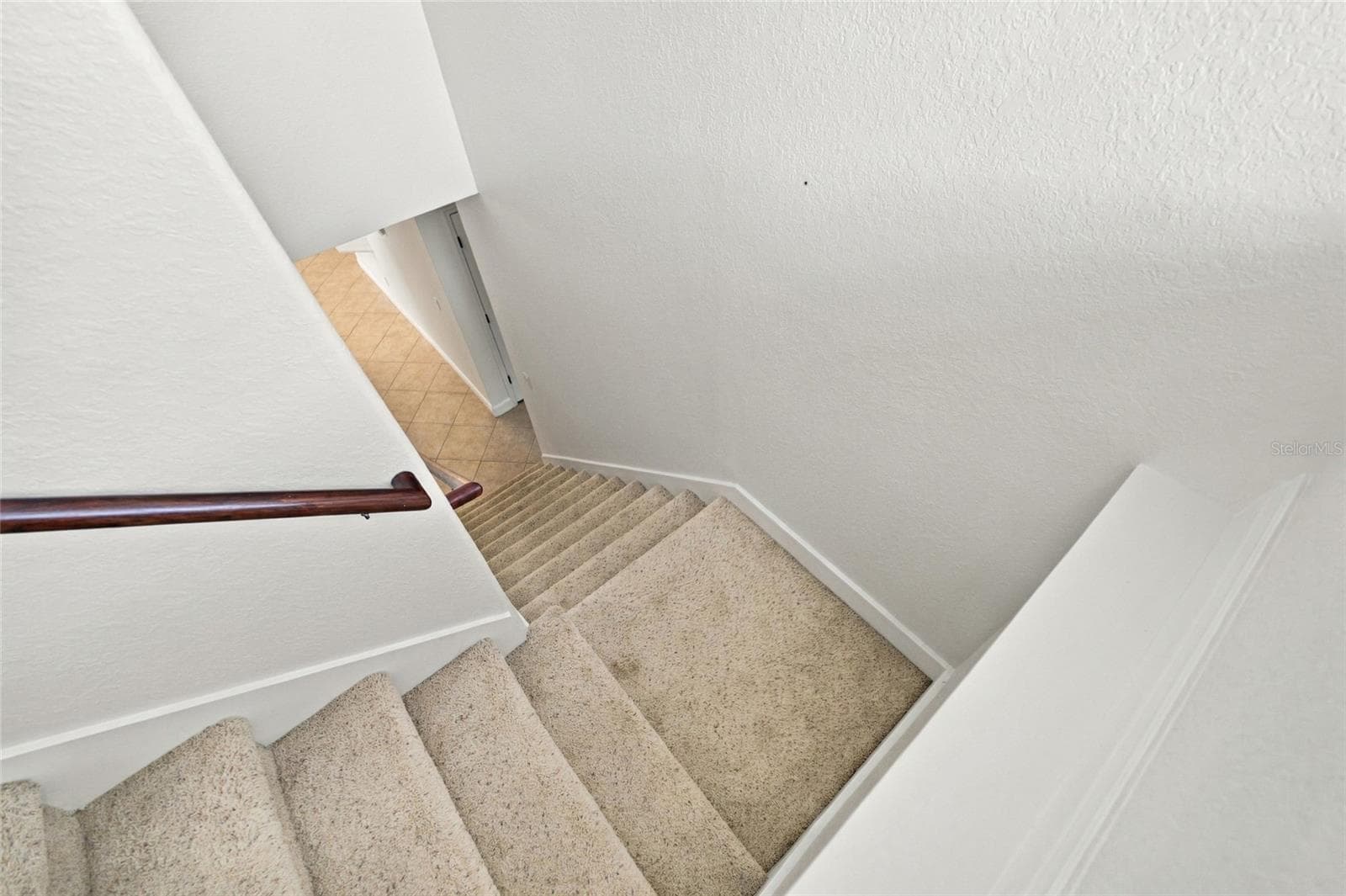 Single Family Residence at 4143 WILDSTAR CIR, WESLEY CHAPEL, photo 51 of 88