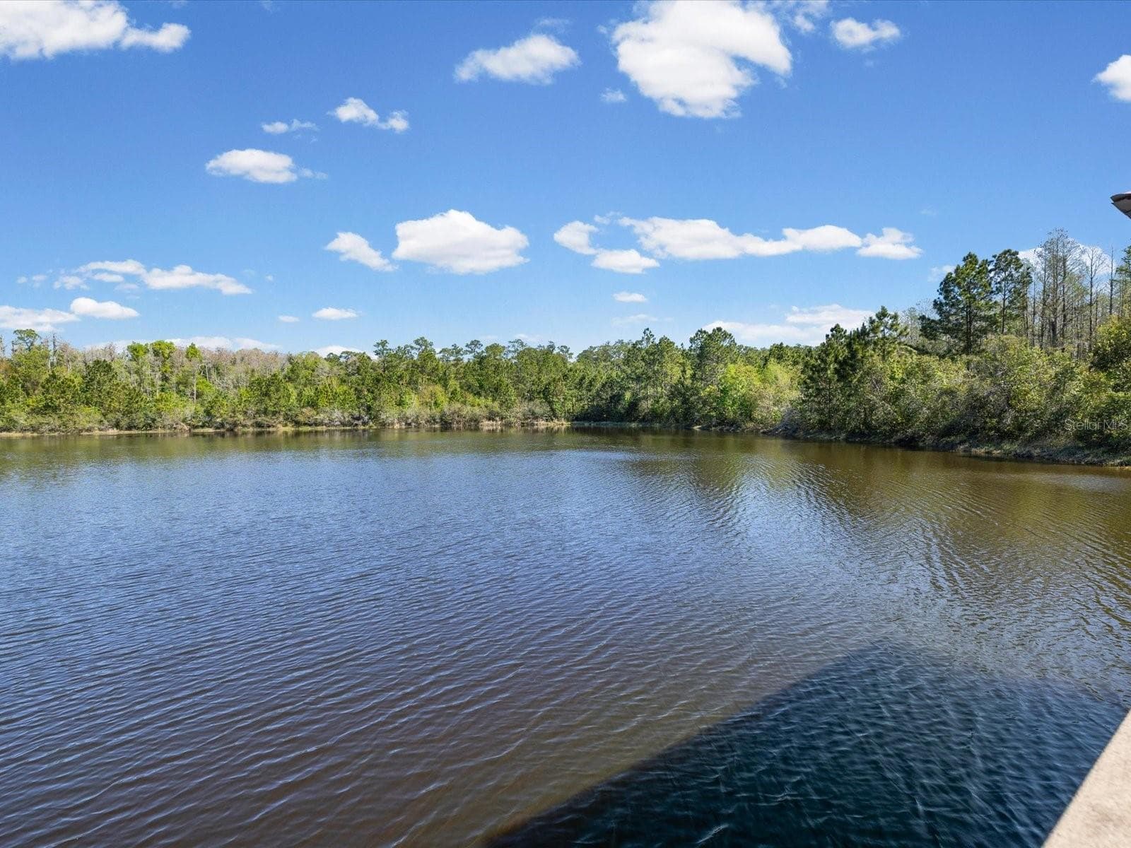 Single Family Residence at 8519 MAY PORT CT, LAND O LAKES, photo 70 of 77