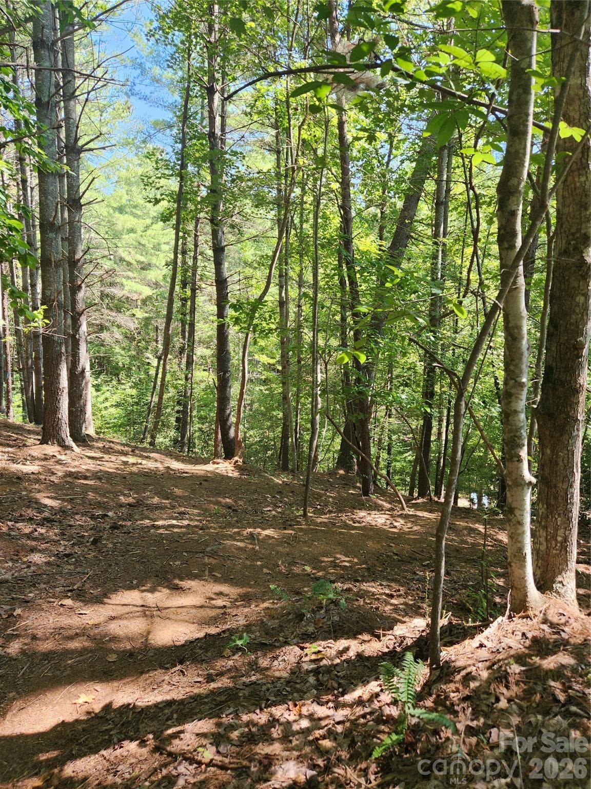 Lot at 1277 Northview Drive, Morganton, photo 27 of 31