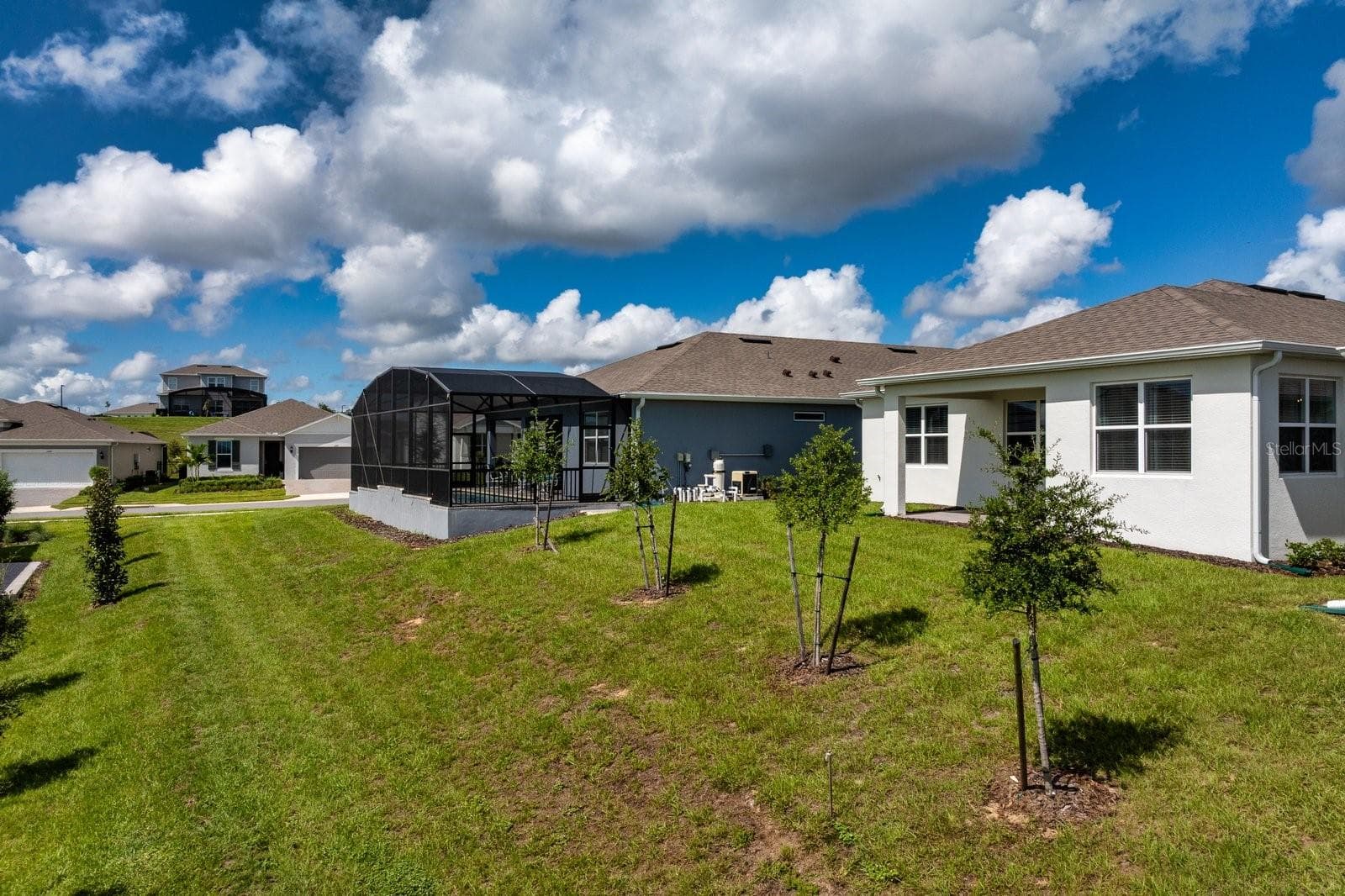 Backyard - 1323 ORANGE VALLEY RD, MINNEOLA