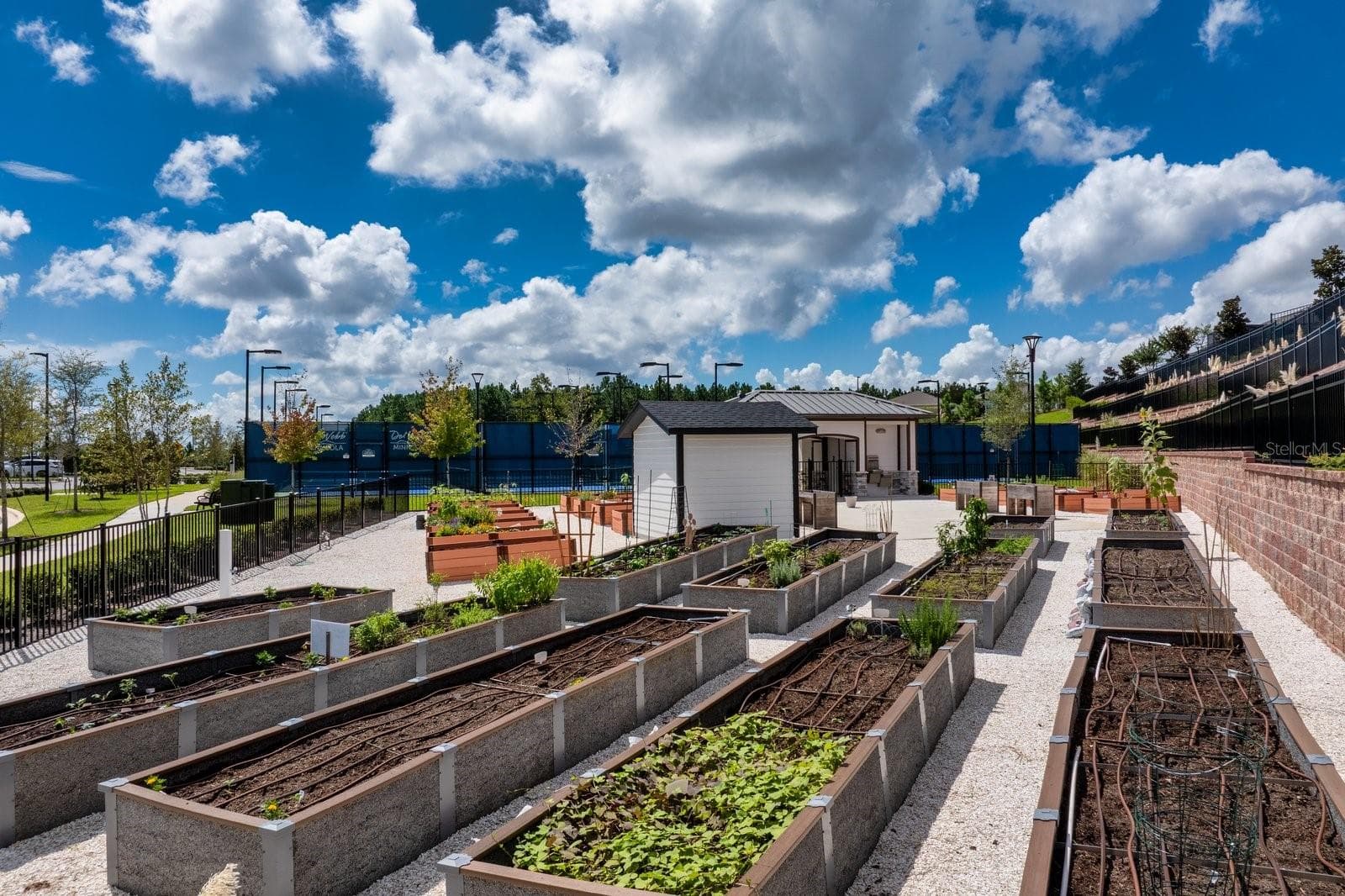 Community Garden - 1323 ORANGE VALLEY RD, MINNEOLA