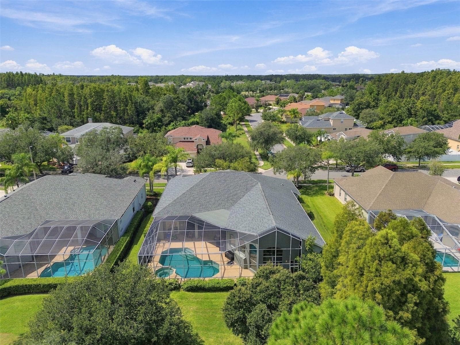 Stunning Natural Backdrop - 18115 EMERALD BAY ST, TAMPA