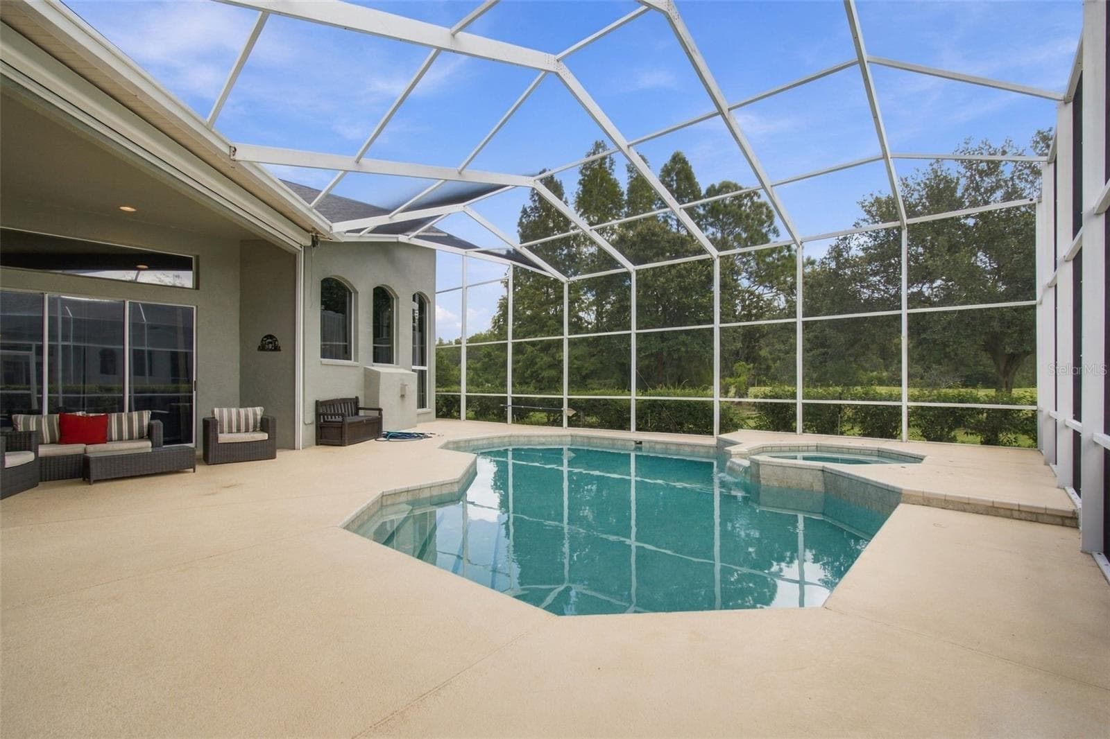 Pool/Spa - with nature views - 18115 EMERALD BAY ST, TAMPA