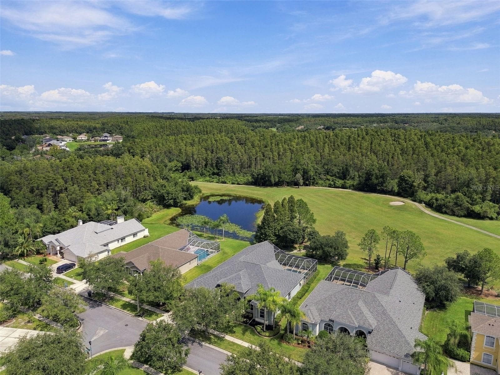 Manicured Golf Course amidst the Natural Lansdscape - 18115 EMERALD BAY ST, TAMPA