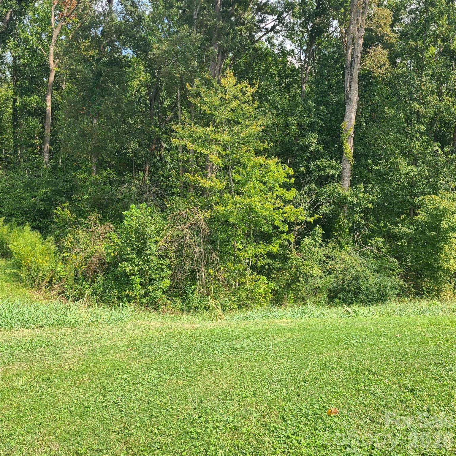 View from back patio - 121 Olive Tea Lane, Statesville