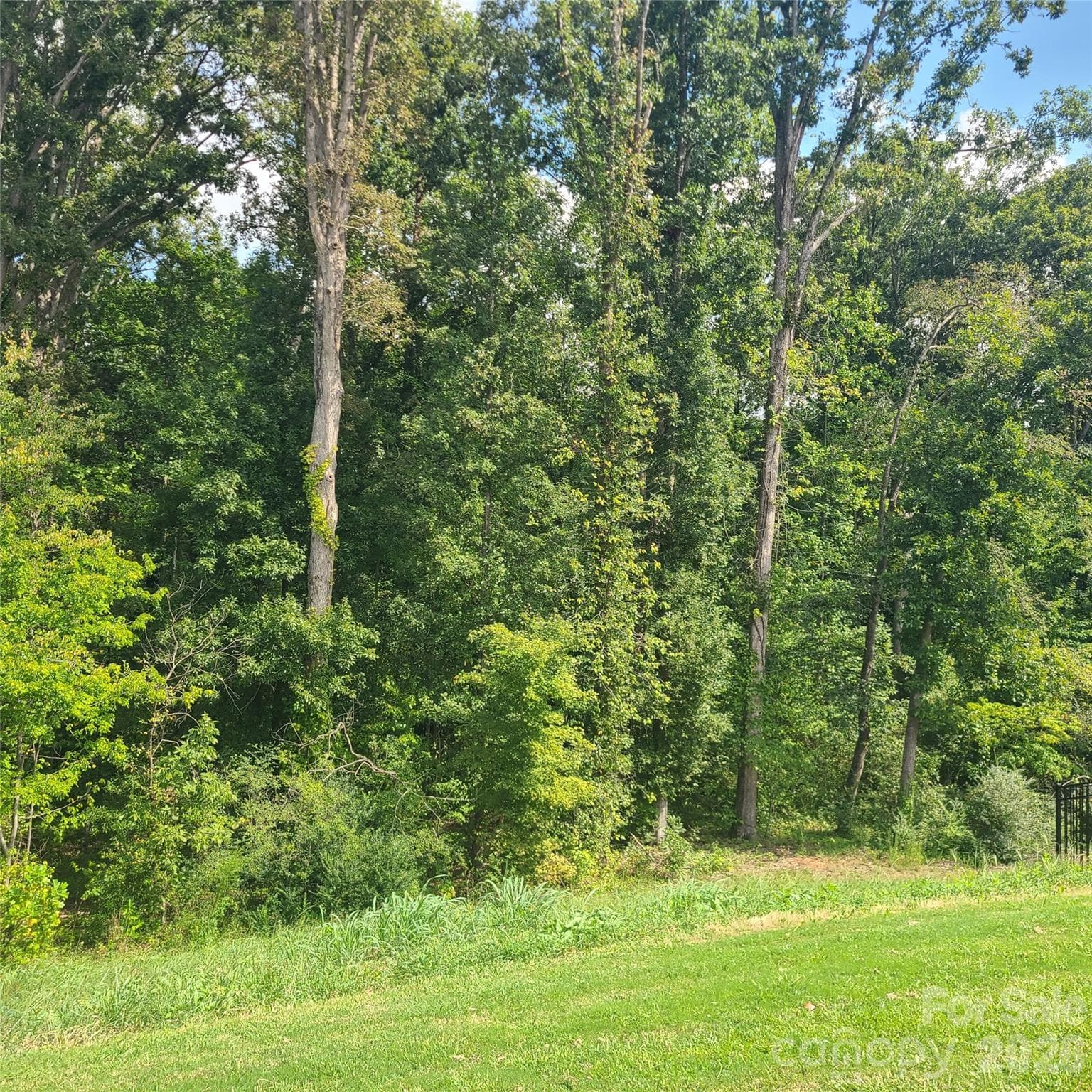 Pretty view and no houses behind! - 121 Olive Tea Lane, Statesville