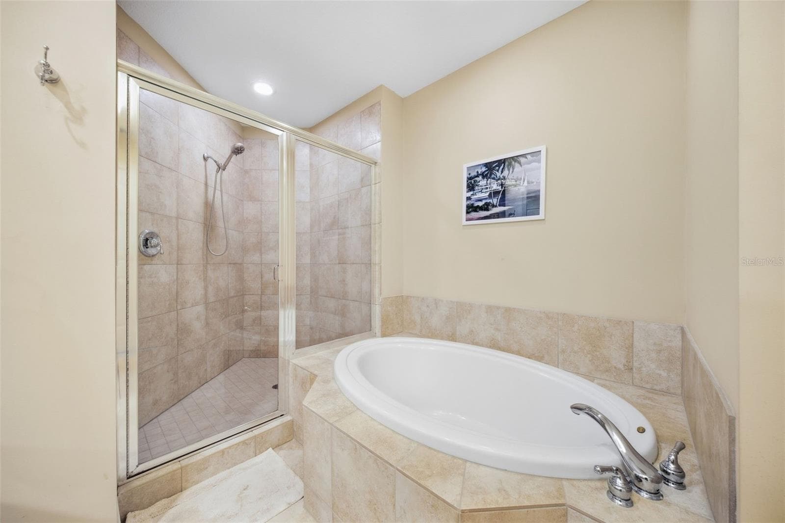 Walk in Shower and Soaking Tub - 1209 E CUMBERLAND AVE #2005, TAMPA