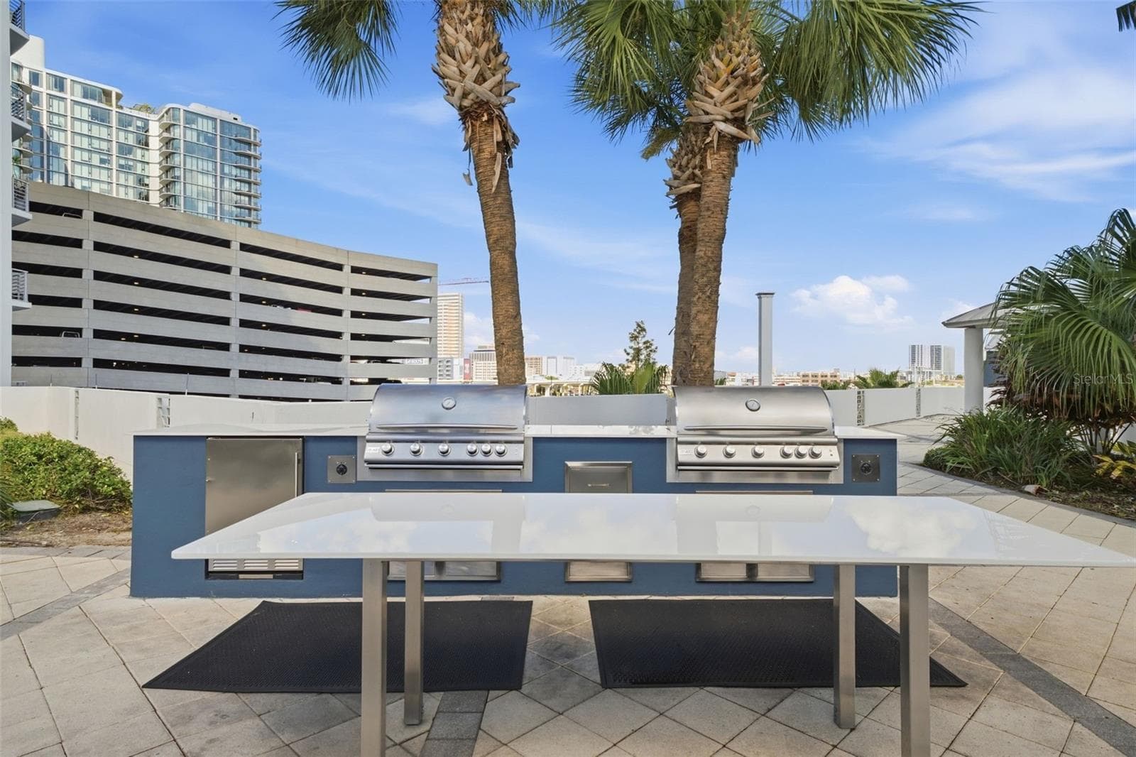 Grilling Station - 1209 E CUMBERLAND AVE #2005, TAMPA