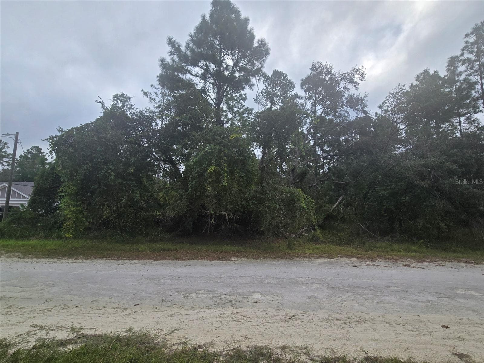 ENGLISH SPARROW RD