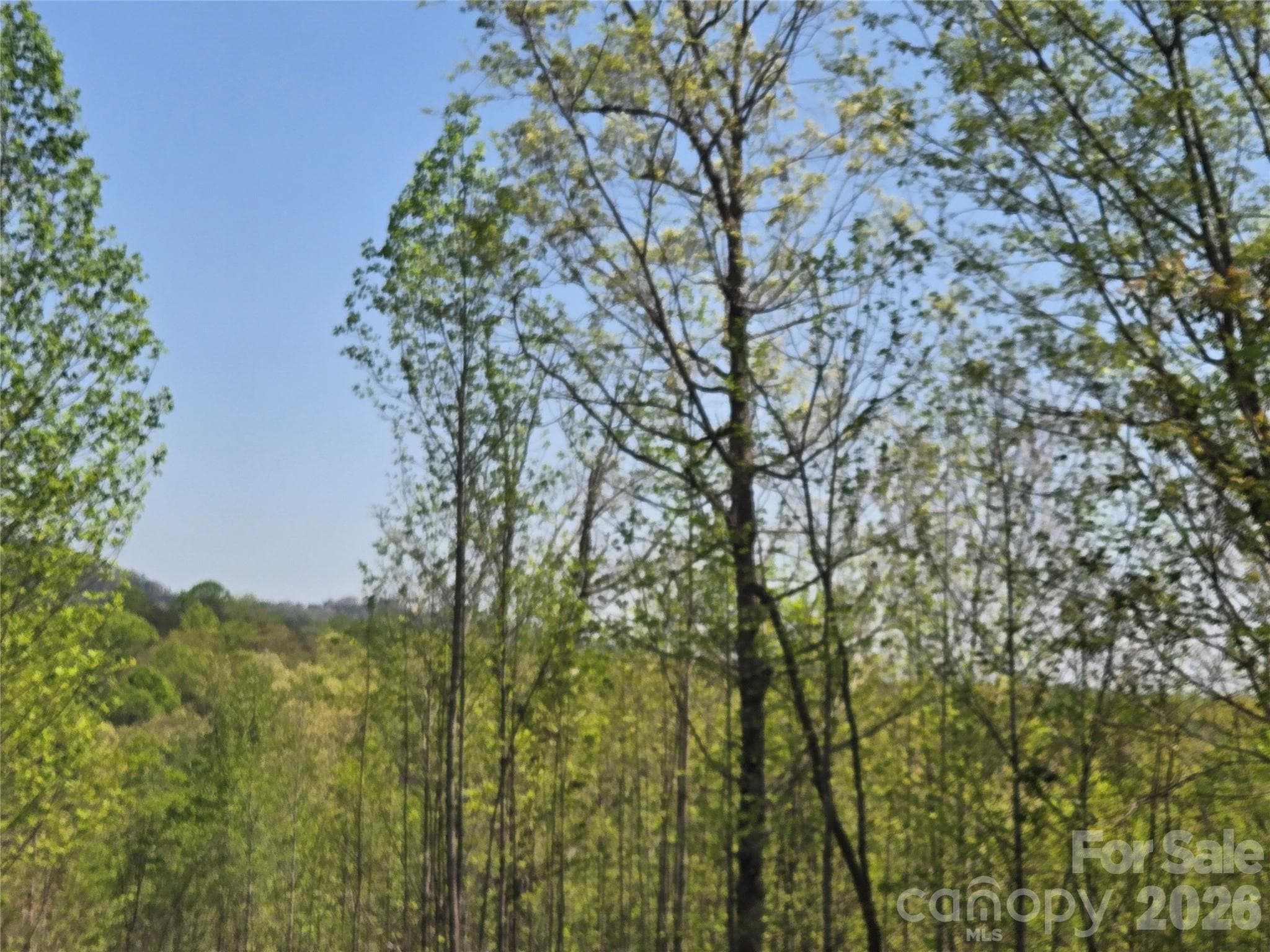 Lot at Lake Lure, photo 6 of 41