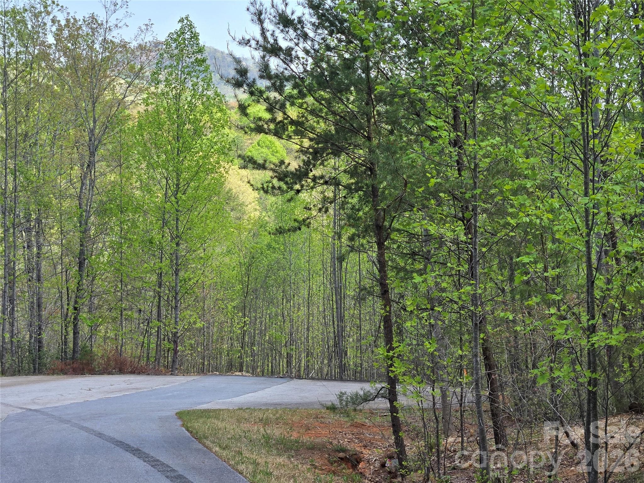 Lot at Lake Lure, photo 8 of 41