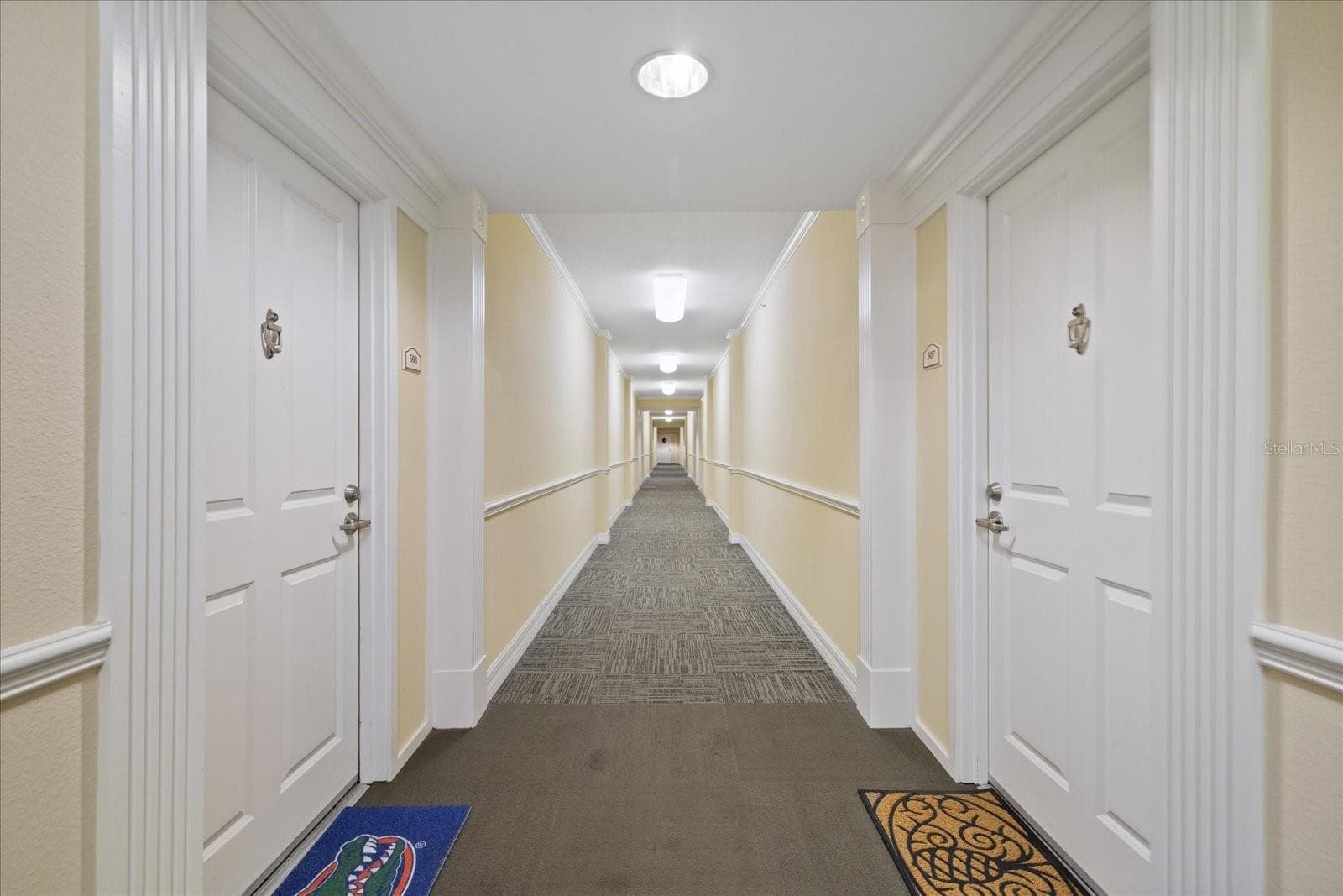 Hallway to elevators - 4516 SEAGULL DR #507, NEW PORT RICHEY
