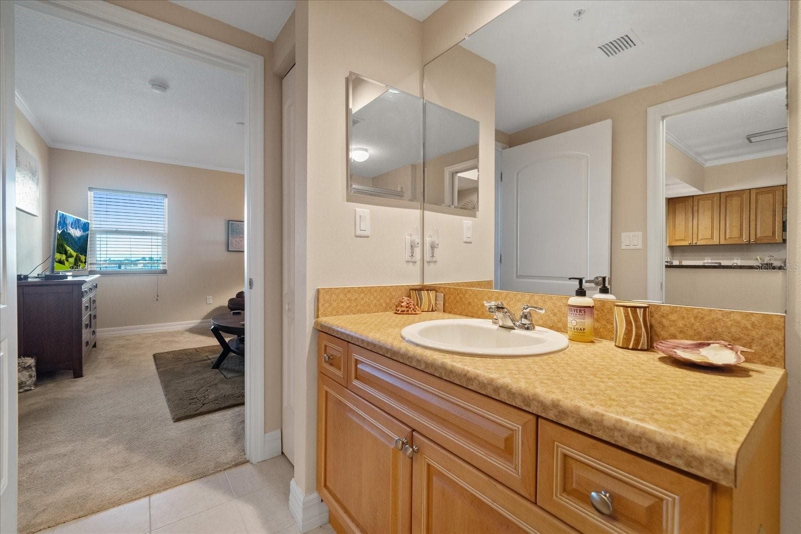 2nd bathroom - 4516 SEAGULL DR #507, NEW PORT RICHEY