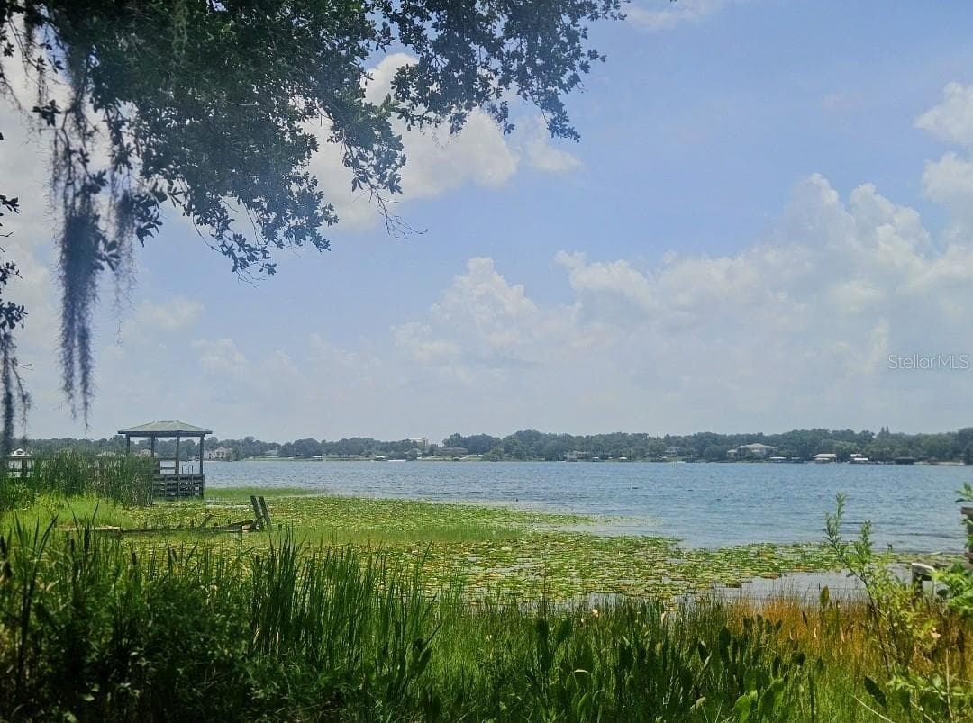 Land at 600 OLD EUSTIS RD, MOUNT DORA, photo 20 of 20