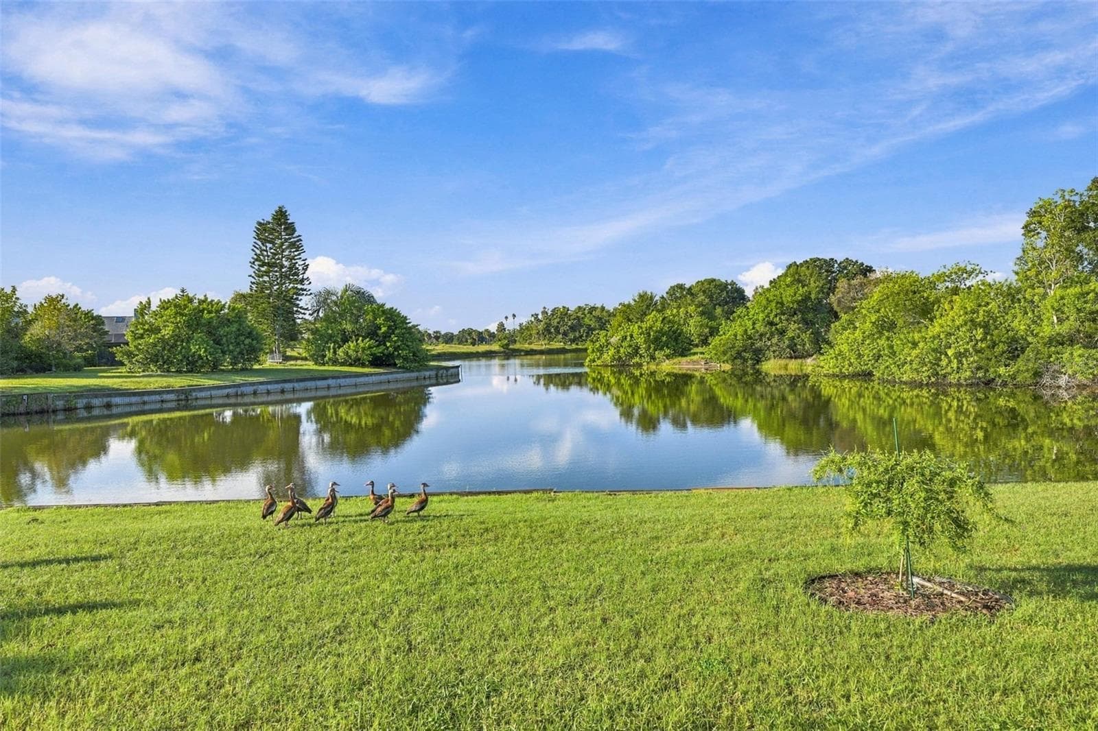 This is the view from your Florida room. Wild life is abundant and nothing but peace and tranquility. - 211 STONEHAM DR, SUN CITY CENTER