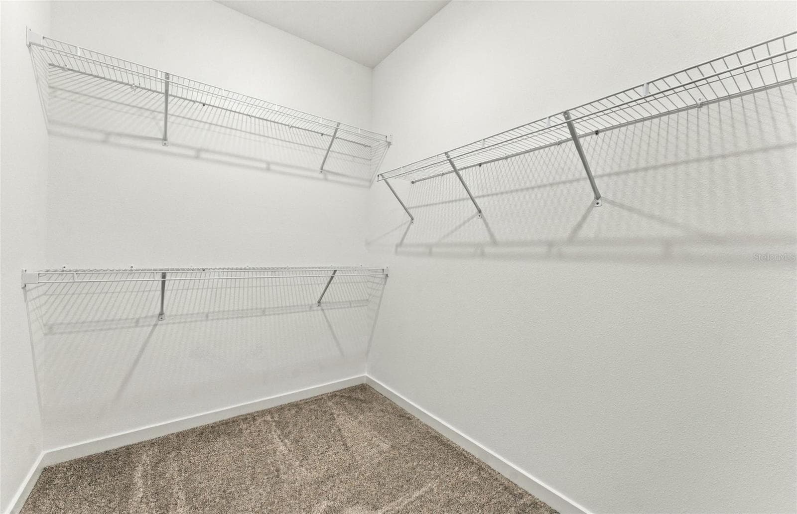 Owner's Walk-in Closet - 11116 SYCAMORE GLEN LOOP, THONOTOSASSA