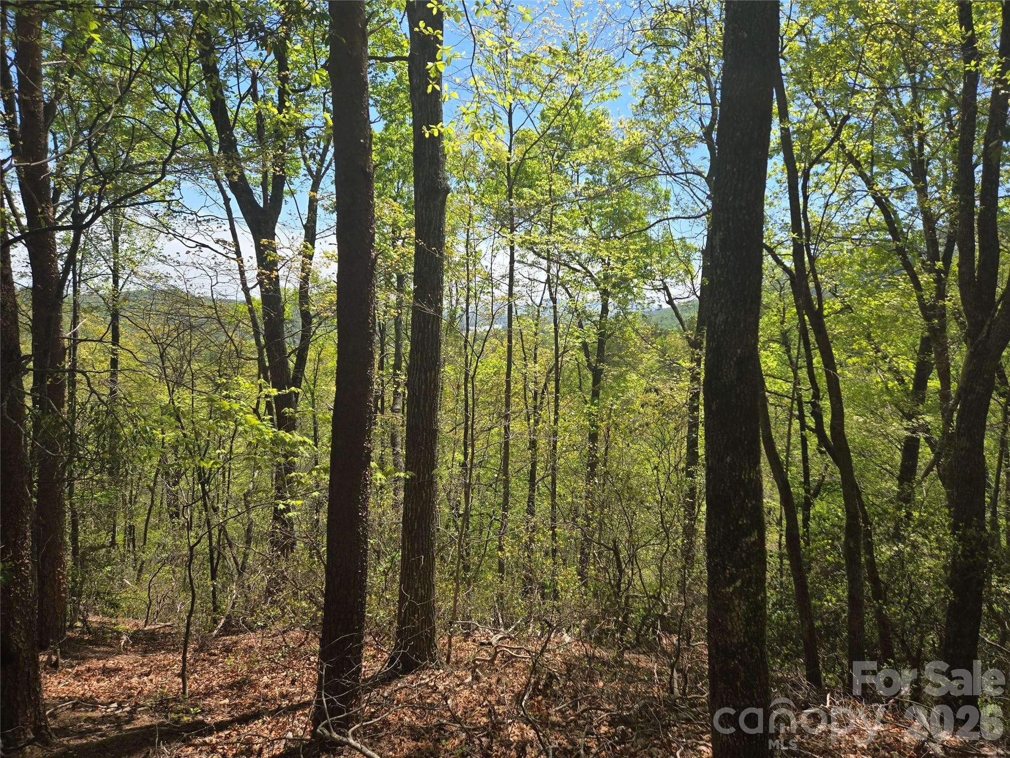 Lot at Lake Lure, photo 8 of 59