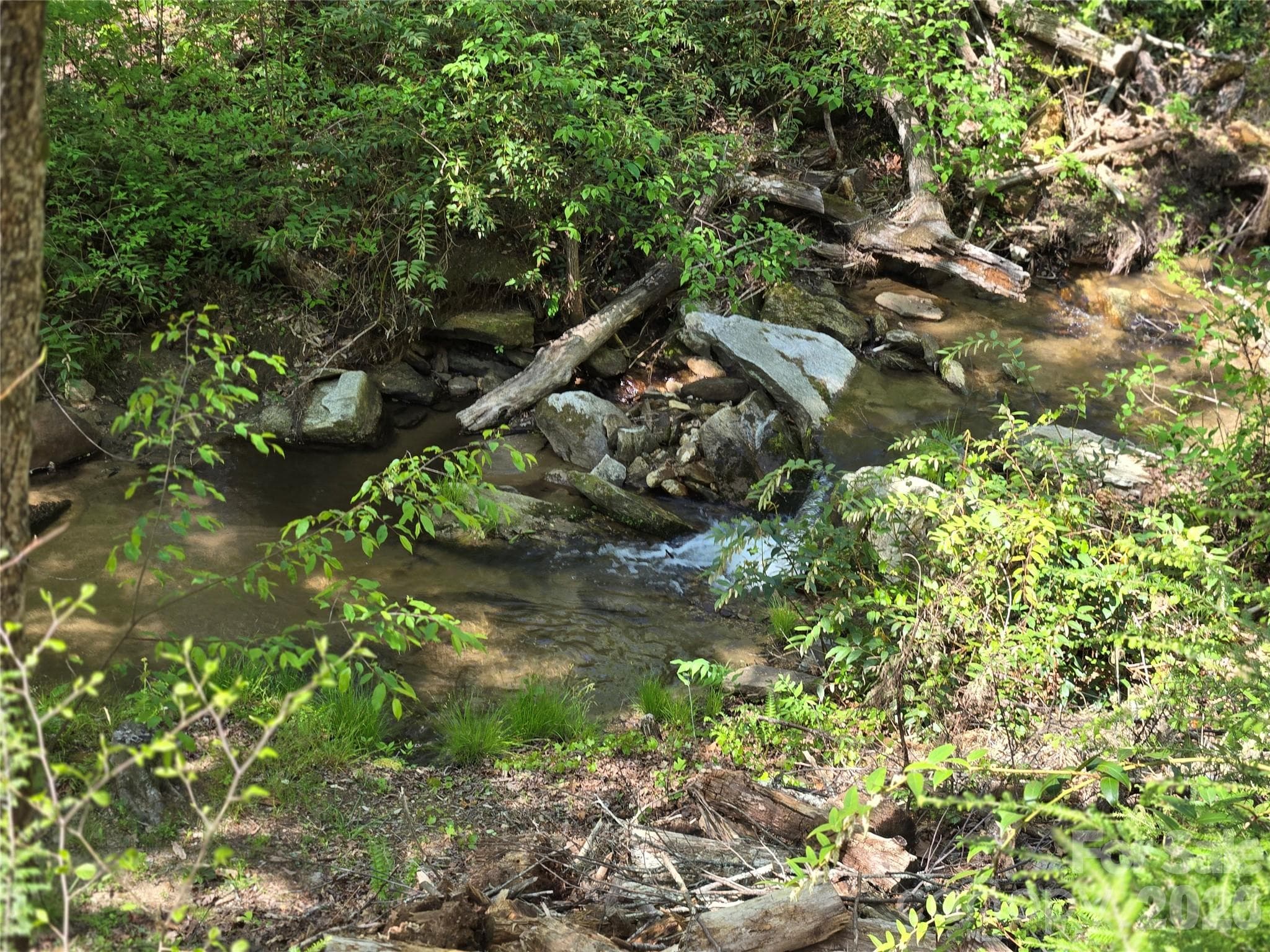 Lot at Lake Lure, photo 4 of 40