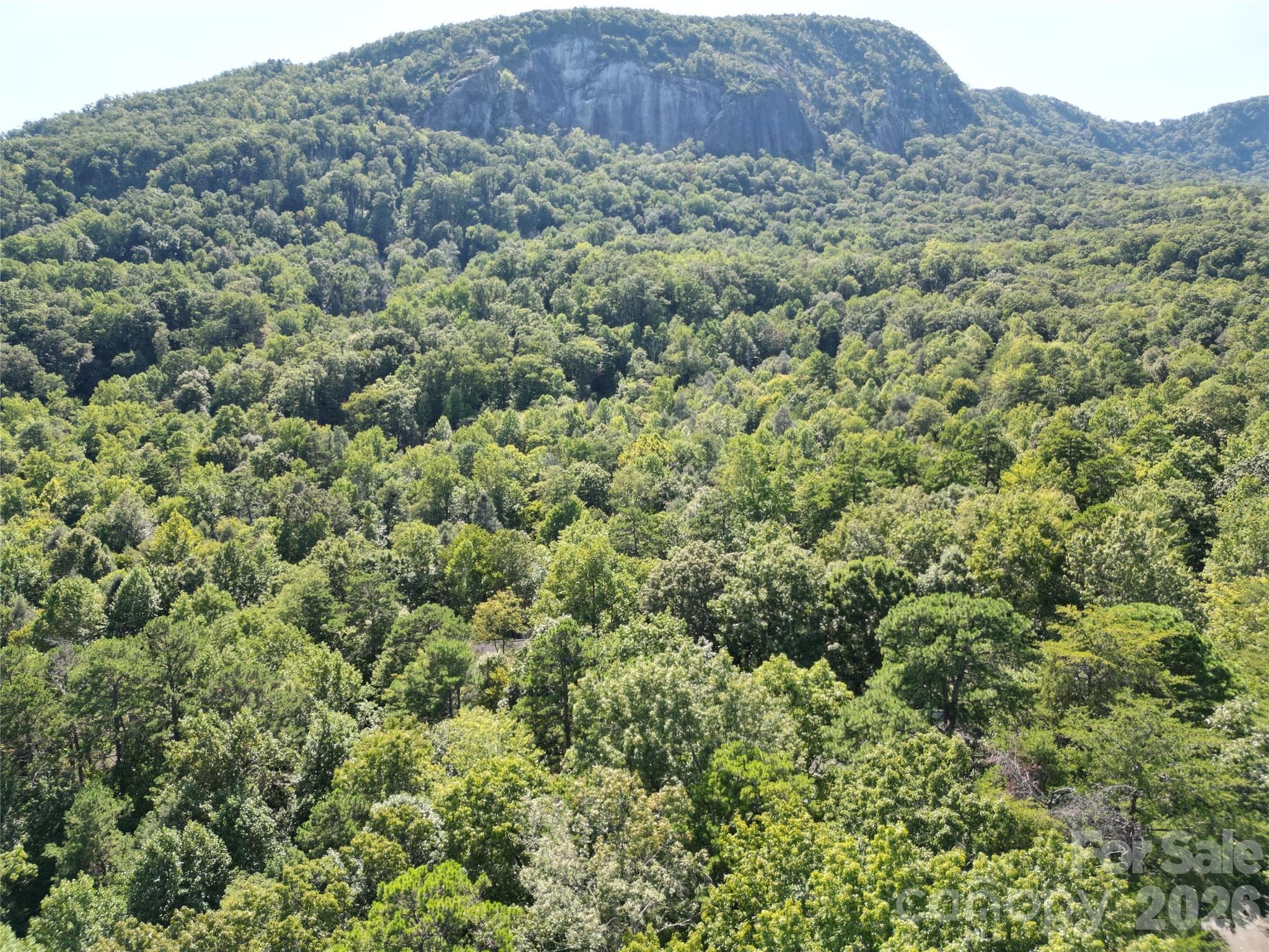 Lot at Lake Lure, photo 8 of 40