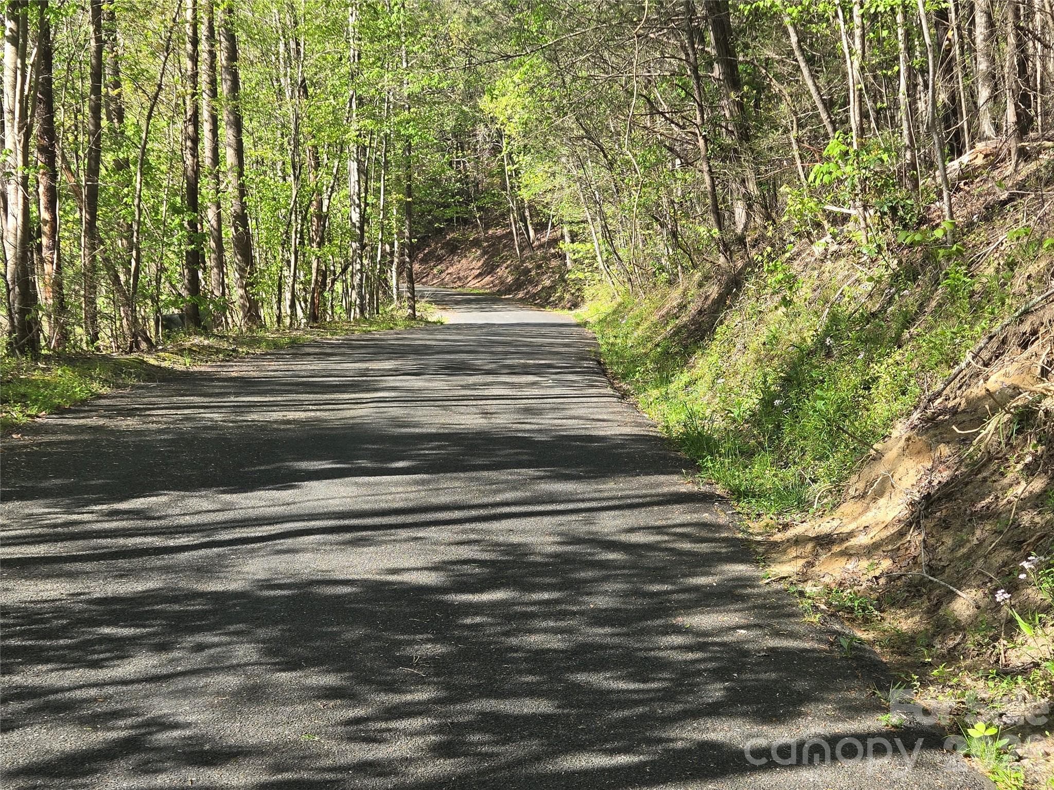 Lot at Lake Lure, photo 6 of 45