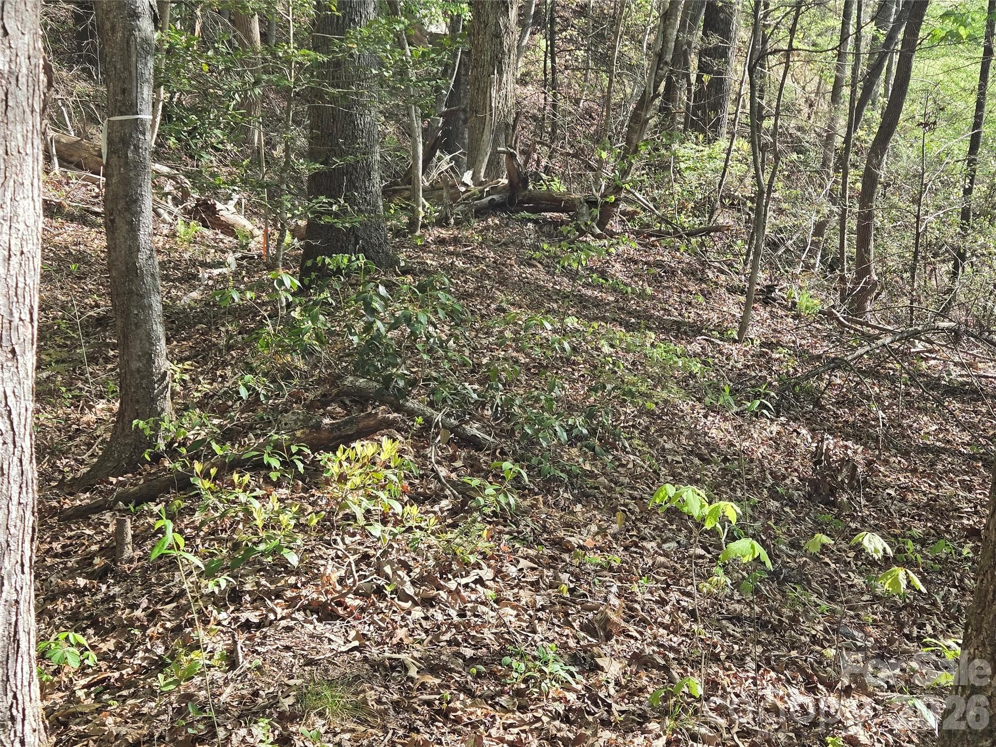 Lot at Lake Lure, photo 8 of 45