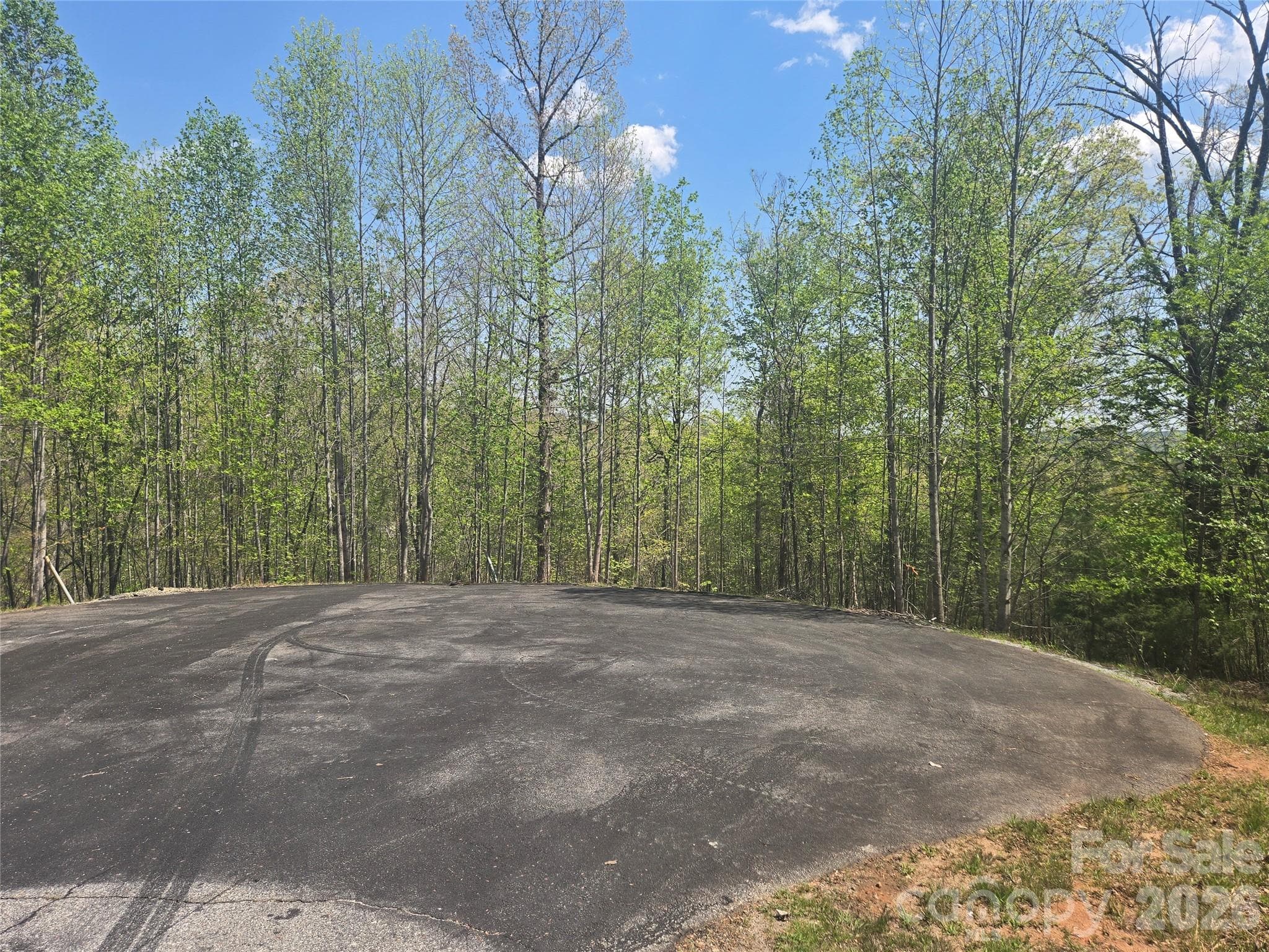 Lot at Lake Lure, photo 6 of 45