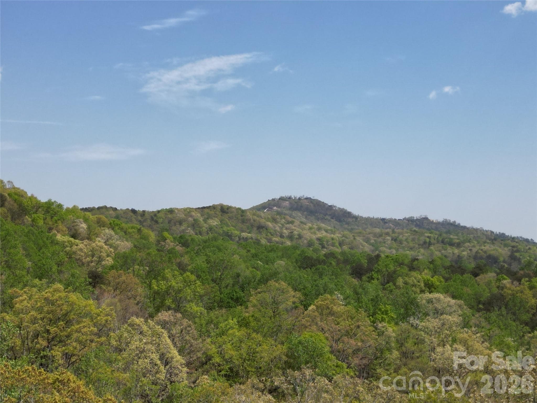 Lot at Lake Lure, photo 8 of 45