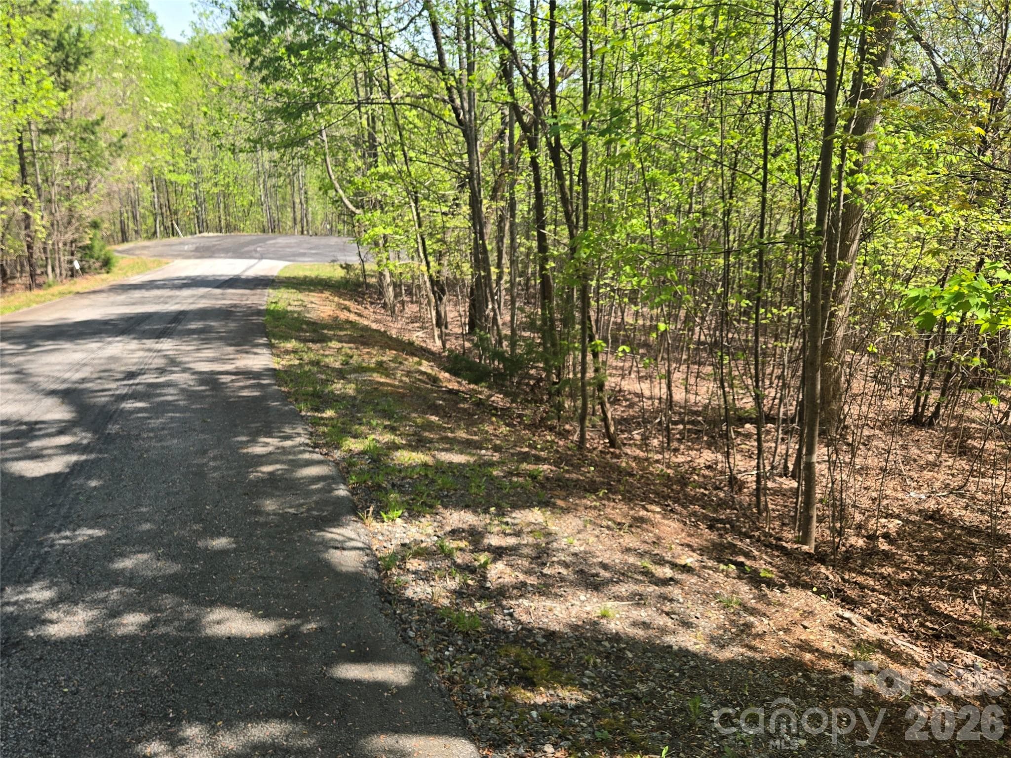 Lot at Lake Lure, photo 6 of 35