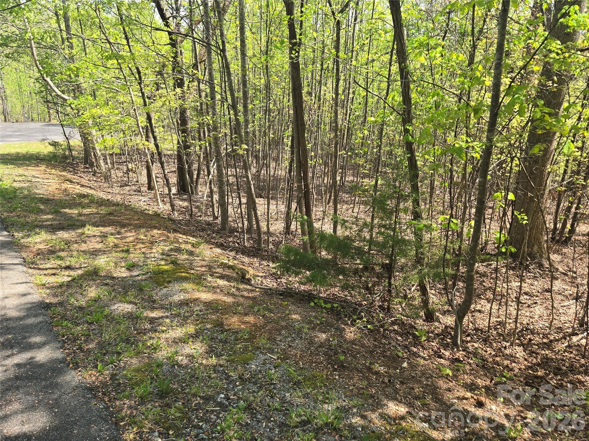 Lot at Lake Lure, photo 8 of 35