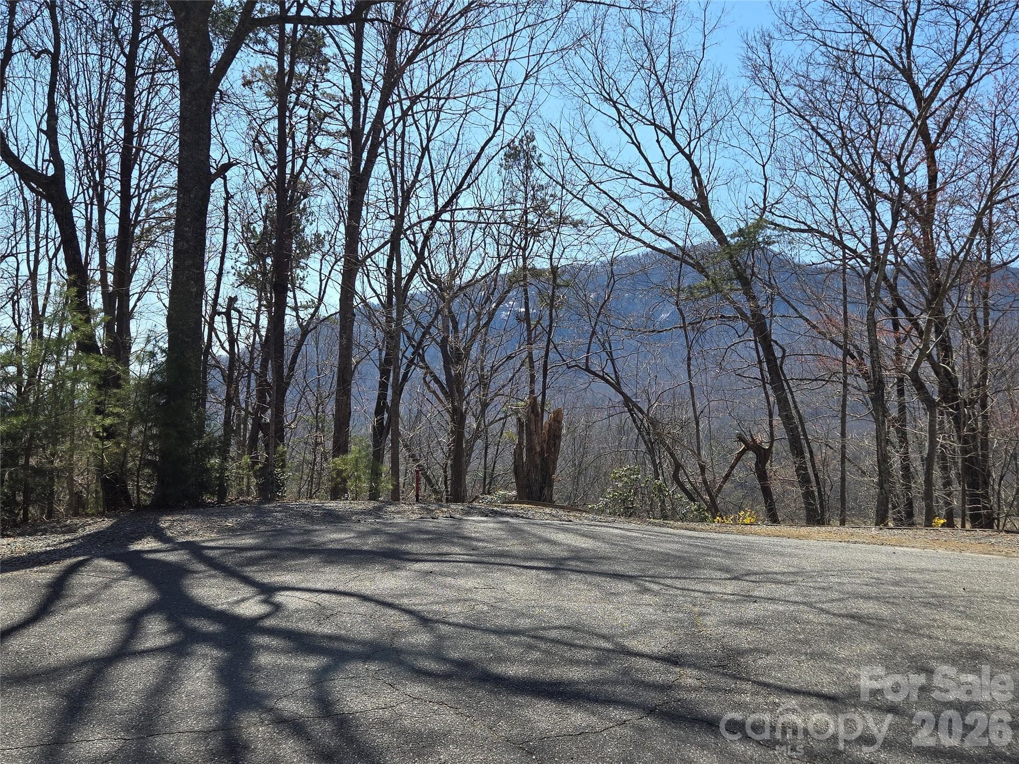 Lot at Lake Lure, photo 8 of 49