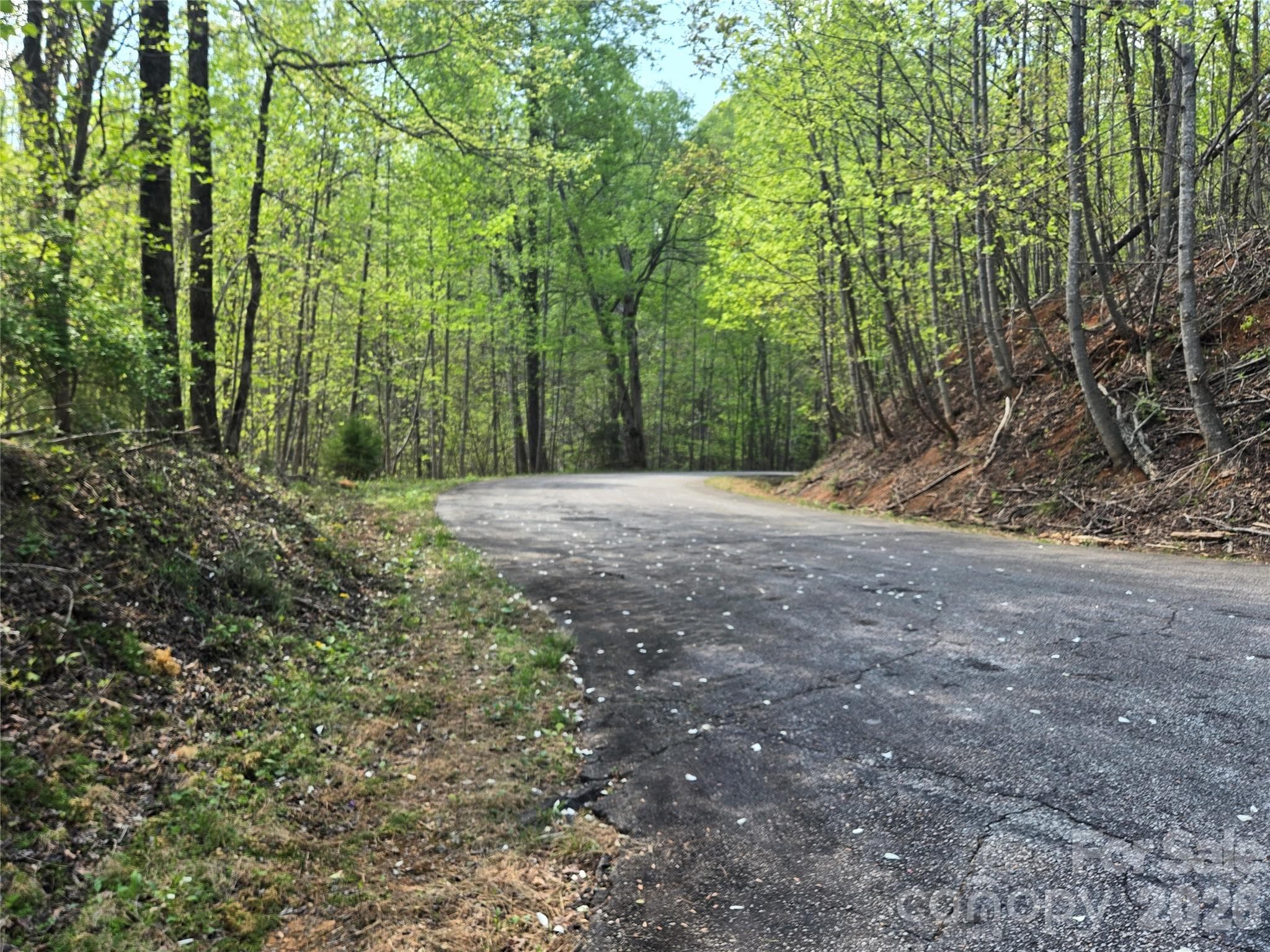 Lot at Lake Lure, photo 6 of 39