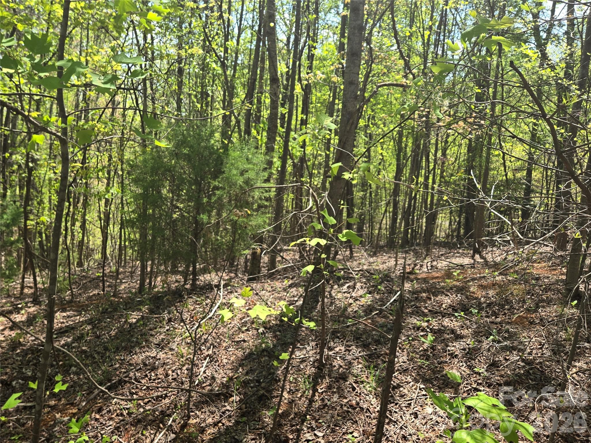 Lot at Lake Lure, photo 8 of 39