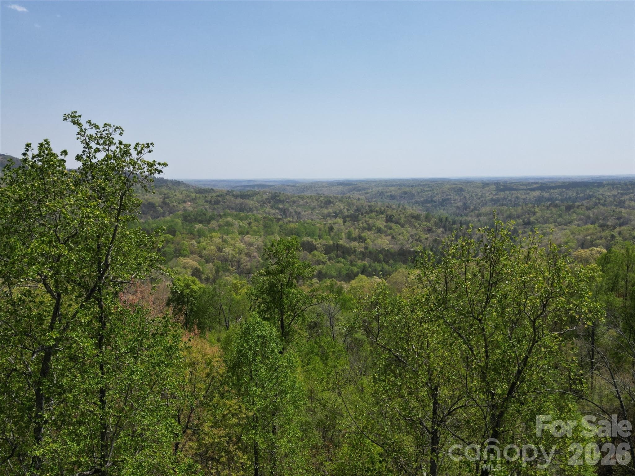 Lot at Lake Lure, photo 8 of 46
