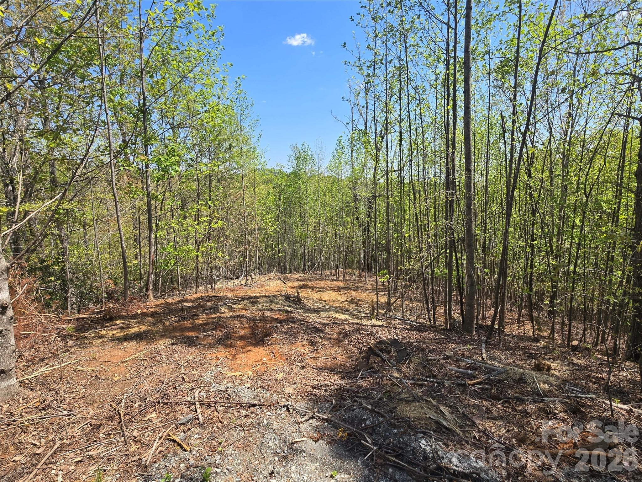 Lot at Lake Lure, photo 4 of 42