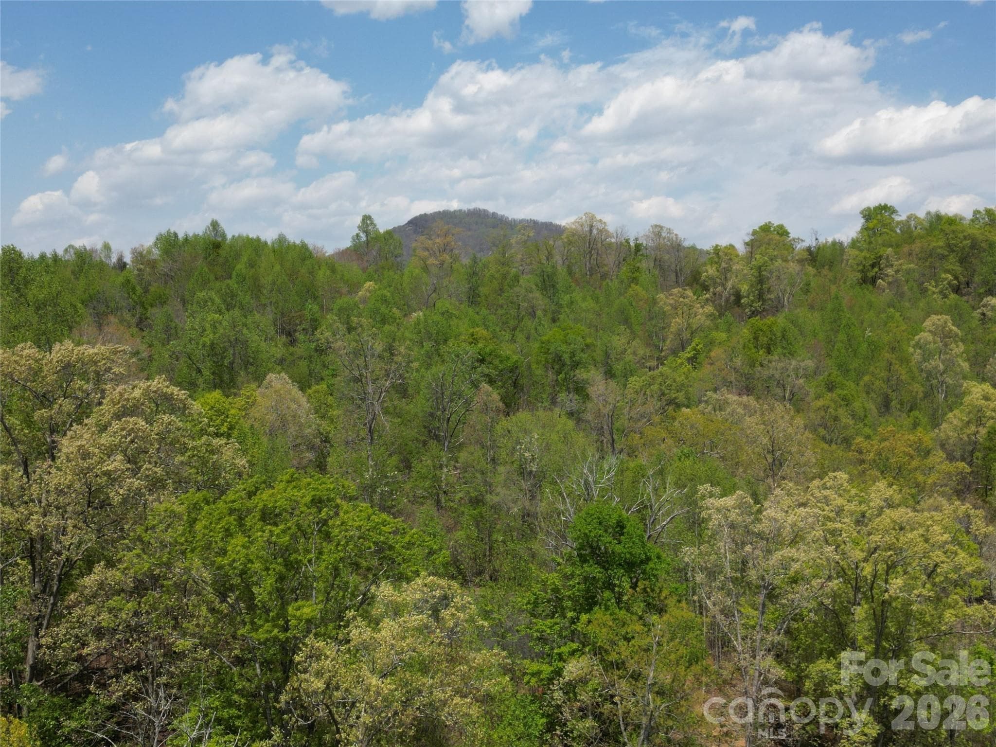Lot at Lake Lure, photo 8 of 42