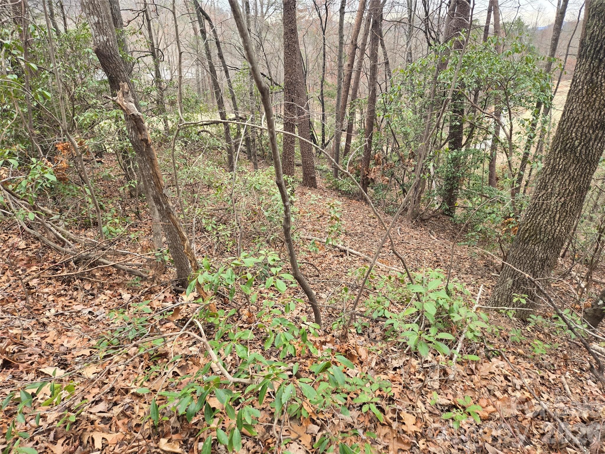 Lot at Lake Lure, photo 6 of 38