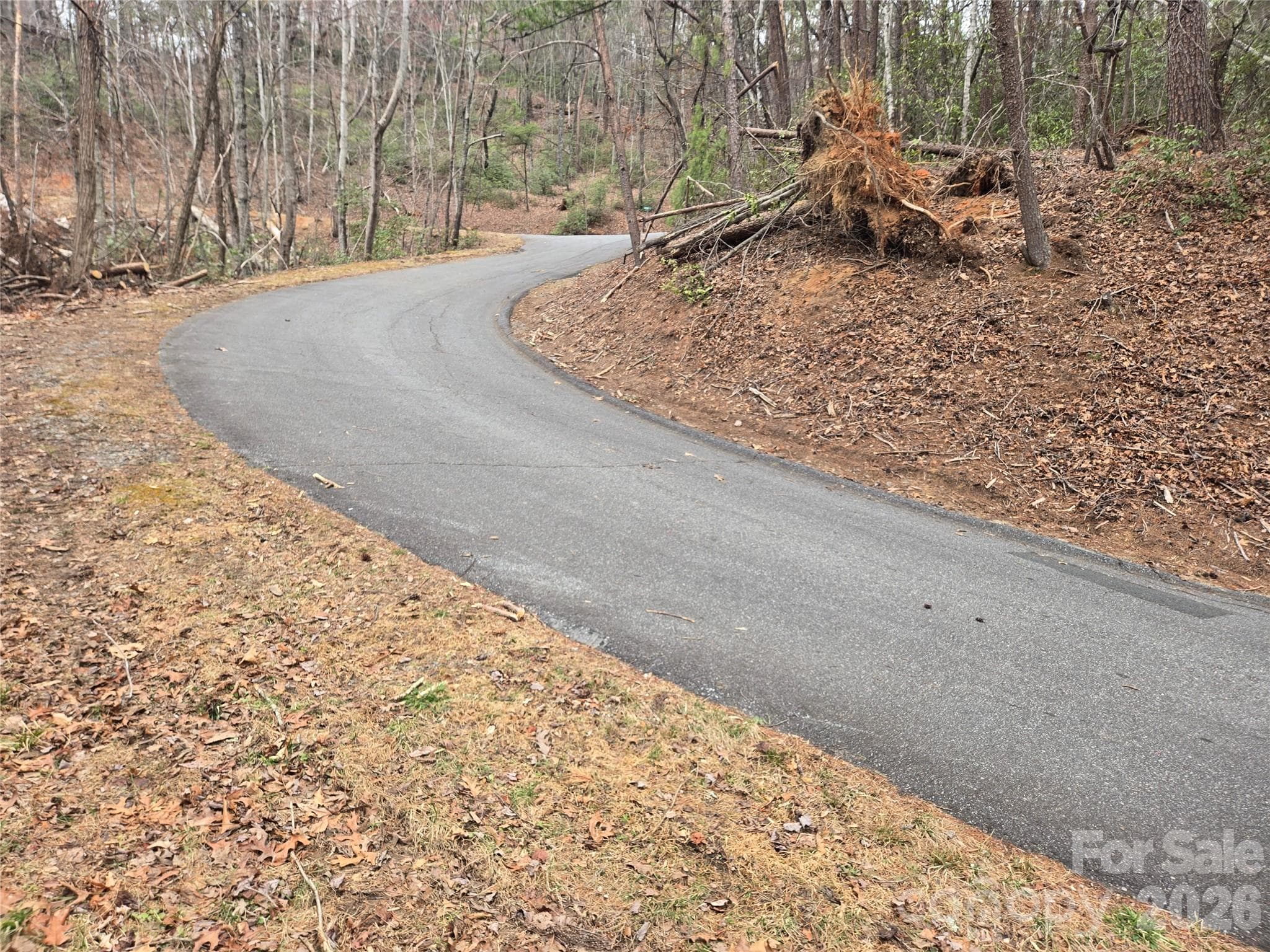 Lot at Lake Lure, photo 8 of 38